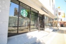 スターバックスコーヒー新潟マルタケビル店(その他飲食（ファミレスなど）)まで269m オセオ弁天