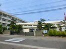 新潟市立鳥屋野中学校(中学校/中等教育学校)まで1957m エトワール神道寺