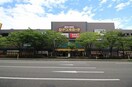 ドン・キホーテ新潟駅南店(ディスカウントショップ)まで851m レジデンスカープ新潟