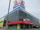 ヤマダデンキテックランド新潟関新店(電気量販店/ホームセンター)まで858m メゾンエスポワール