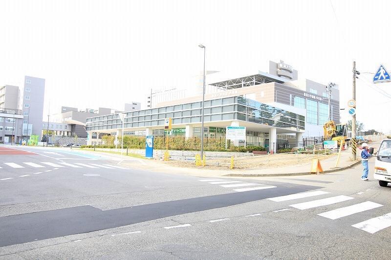 国立新潟大学医学部(大学/短大/専門学校)まで382m ピア旭町