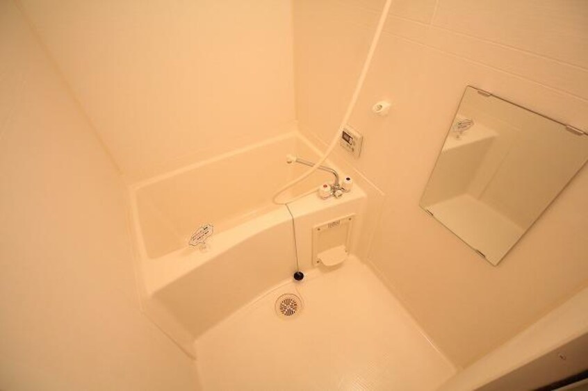  ＶＡＬＩＳ(ヴァリス)