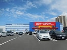 ケーズデンキ新潟南店(電気量販店/ホームセンター)まで1994m メゾン・ド・Ｋ1