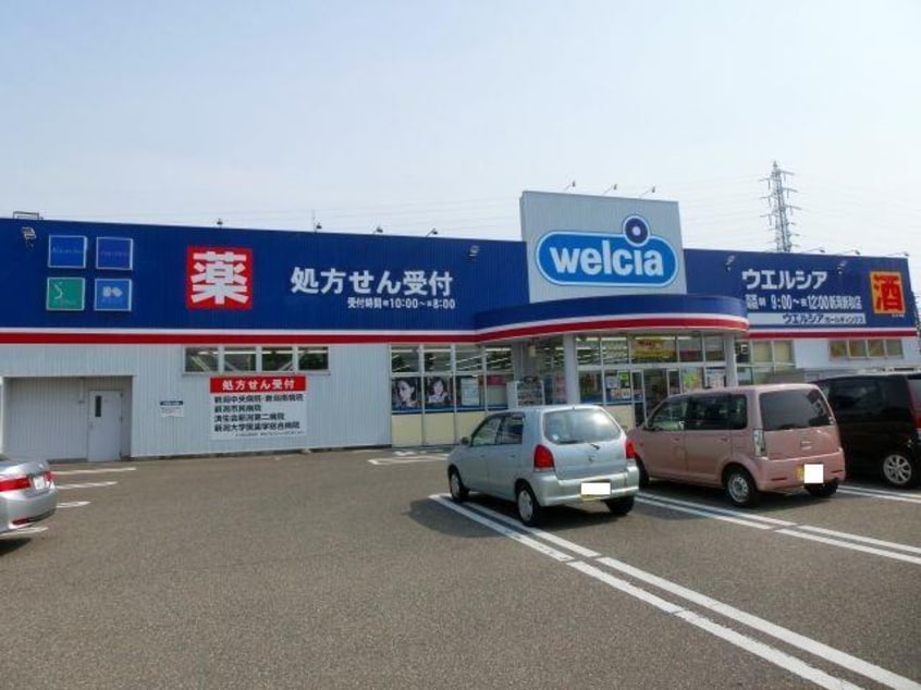 ウエルシア新潟新和店(ドラッグストア)まで530m なごみＢ