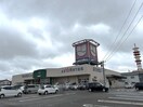 ウオロク女池店(スーパー)まで1177m クレエ