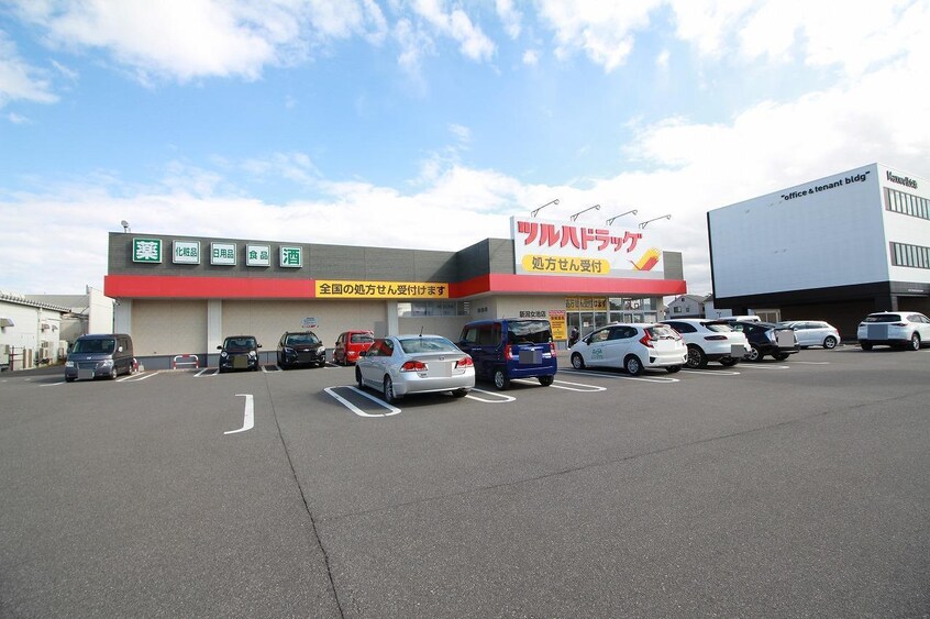ツルハドラッグ新潟女池店(ドラッグストア)まで933m クレエ