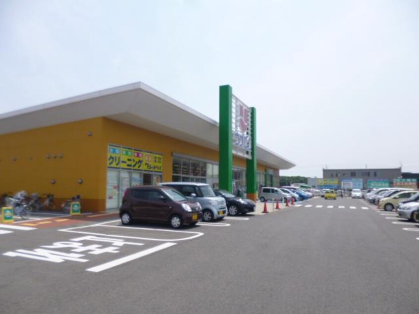 ウオロク鳥屋野南店(スーパー)まで1200m ベルドミール・ソシア