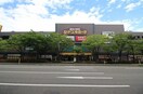 ドン・キホーテ新潟駅南店(ディスカウントショップ)まで820m キーウエスト天神
