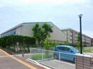 新潟市立上山中学校(中学校/中等教育学校)まで2375m グランドソレイユＡ