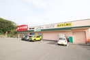クスリのアオキ新潟大島店(ドラッグストア)まで949m グランドソレイユＡ