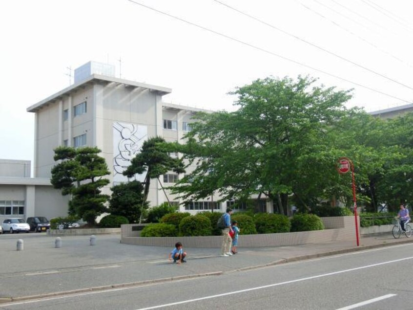 新潟市立紫竹山小学校(小学校)まで662m Heights Iwasa