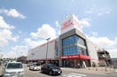 コジマ×ビックカメラ新潟店(電気量販店/ホームセンター)まで997m マストタウン神道寺