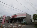 清水フードセンター関屋店(スーパー)まで500m パルステージ関屋II