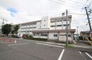 新潟市立上所小学校(小学校)まで961m ライラック