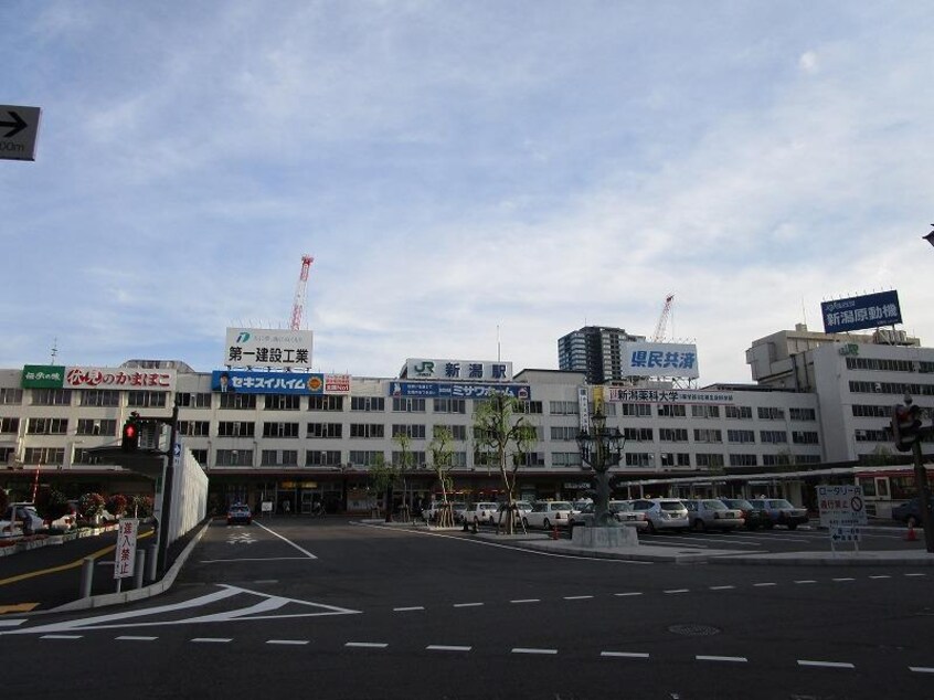 マツモトキヨシ新潟駅ビルCoCoLo東店(ドラッグストア)まで702m CUES東万代