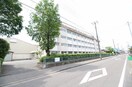 新潟市立江南小学校(小学校)まで418m ビレジ紫竹