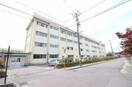 新潟市立石山中学校(中学校/中等教育学校)まで1372m ビレジ紫竹