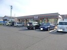 セブン-イレブン 新潟女池西店(コンビニ)まで550m ビバル上近江