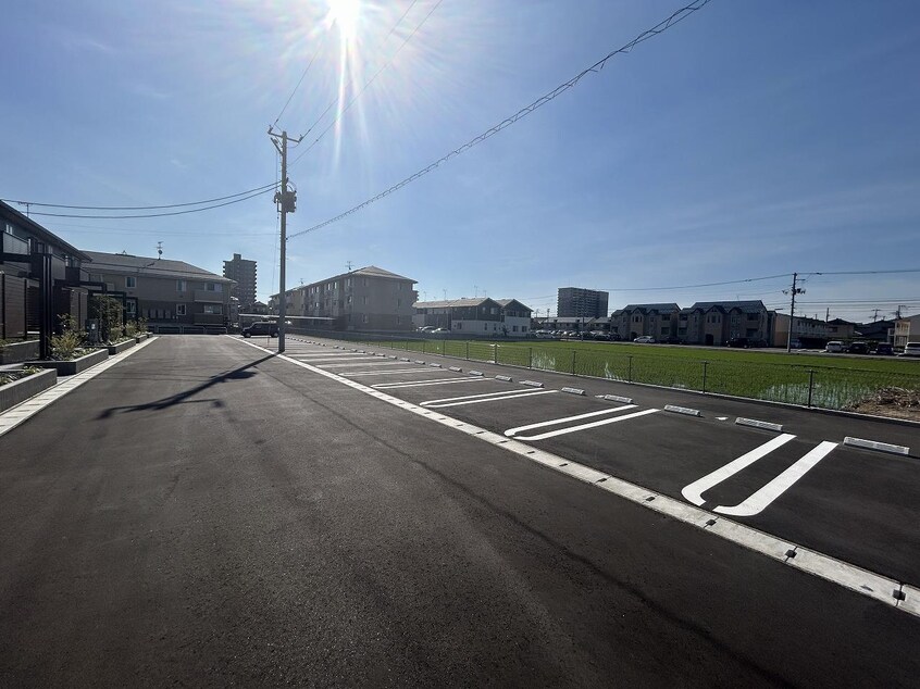  エクセレント上近江