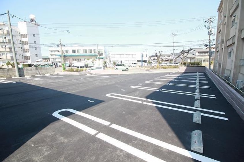  シャン・ドール