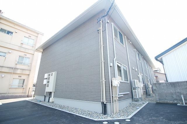  シャン・ドール