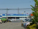 コメリハード＆グリーン牡丹山店(電気量販店/ホームセンター)まで1262m ポテンシャルＢ