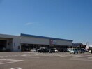 カワチ薬品松崎店(ドラッグストア)まで1674m 井村コーポ