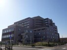 新潟医療生活協同組合木戸病院(病院)まで597m ジャンティ