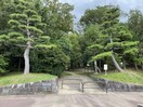 東山公園(公園)まで882m ラムール紫竹