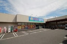 クスリのコダマ南紫竹店(ドラッグストア)まで151m ブルースクエア