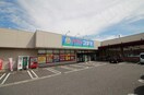 クスリのコダマ南紫竹店(ドラッグストア)まで151m ブルースクエア