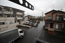  ラヴィアンローズ