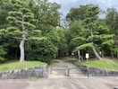 東山公園(公園)まで1240m ラヴィアンローズ