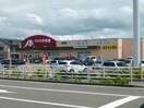 クスリのアオキ逢谷内店(ドラッグストア)まで2468m ローリエK