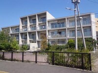 N-COURT