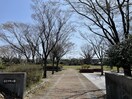 藤見中央公園(公園)まで1295m ロイヤルガーデンＣ