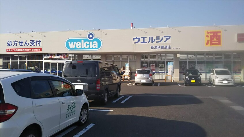 ウエルシア新潟秋葉通店(ドラッグストア)まで227m 秋葉通り３丁目貸家