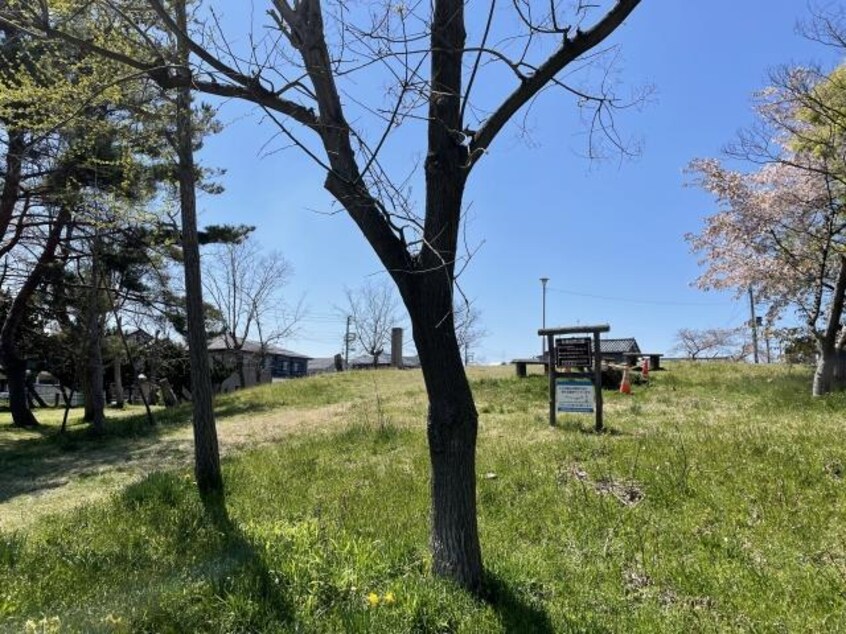 秋葉自然公園(公園)まで221m グリーンヒルズＦ