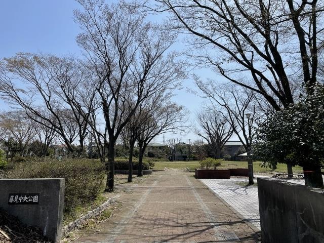 藤見中央公園(公園)まで990m パームヒルズ