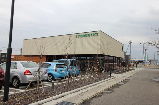 スターバックスコーヒー新潟中野山店(その他飲食（ファミレスなど）)まで1528m アイリスコートＢ