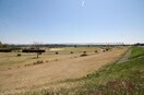 阿賀野川緑地(公園)まで568m ルグラン