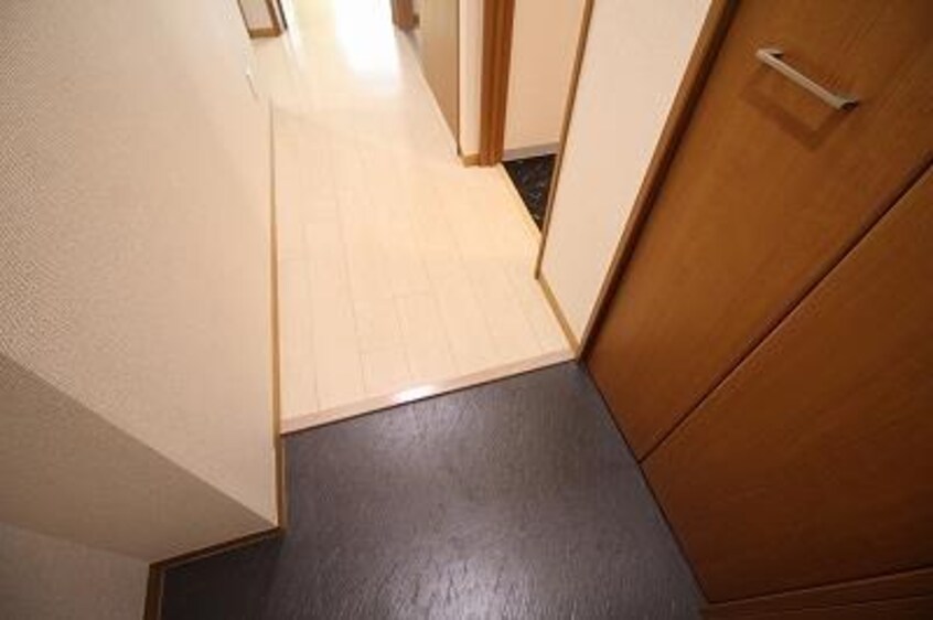  ウィンド・フィル