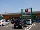 ウオロク松浜店(スーパー)まで1896m コリーヌ・メゾン1、2