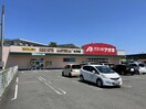 クスリのアオキ松浜店(ドラッグストア)まで1392m コリーヌ・メゾン1、2