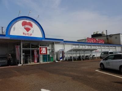 キューピット早通店(スーパー)まで2553m オーディアスI
