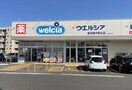 ウエルシア新潟東中野山店(ドラッグストア)まで1245m カメリアコートＡ・Ｂ・Ｃ・Ｄ