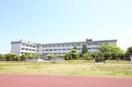 新潟市立東石山中学校(中学校/中等教育学校)まで906m カメリアコートＡ・Ｂ・Ｃ・Ｄ