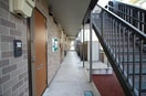 共用部通路。 リビングカメリアＡ
