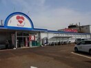 キューピット早通店(スーパー)まで699m ルミエール