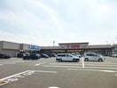 キューピット南紫竹店(スーパー)まで711m サンロイヤルＡ